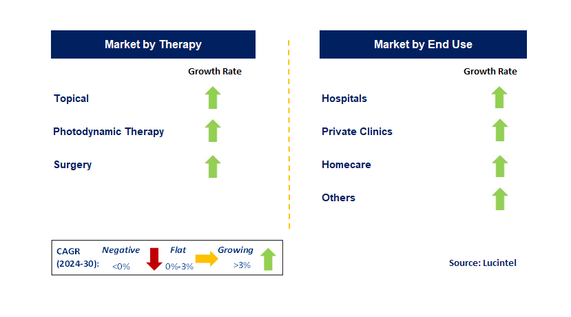 Actinic Keratosis Treatment by Segment